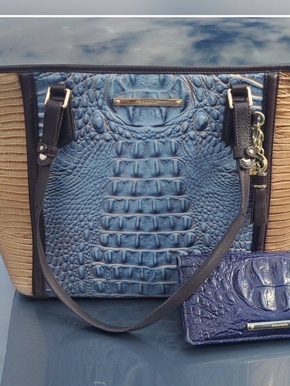 Brahmin SATELLITE PALMA Asher Totebag+Ady Wallet SET